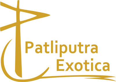 Patliputra Exotica